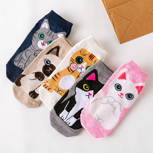 Pawsome Socks #11-1