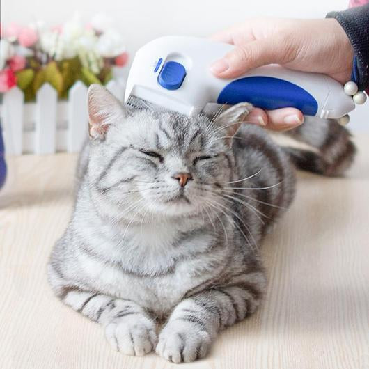 [SALE] Electric Flea Comb For Cats-0