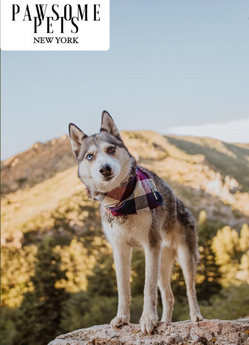 BANDANA - ALPINE-1