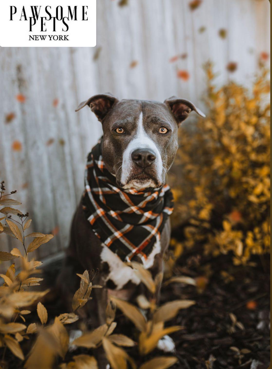 BANDANA - JUNIPER-1