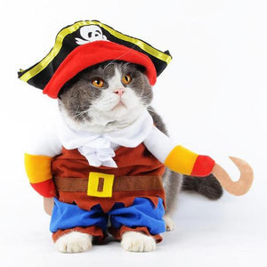 Pirate Cat Costume-1