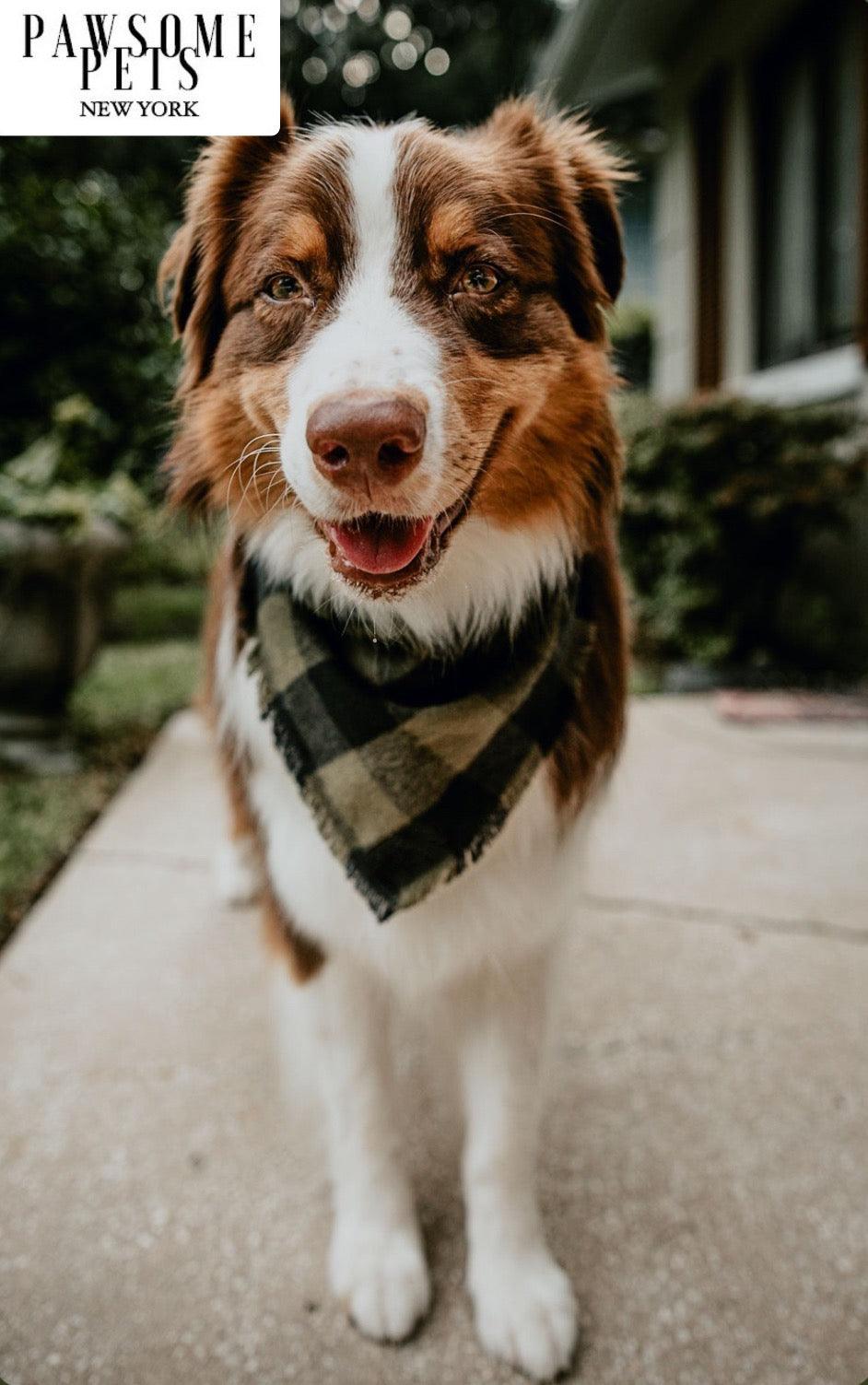 BANDANA - EVERGREEN-1