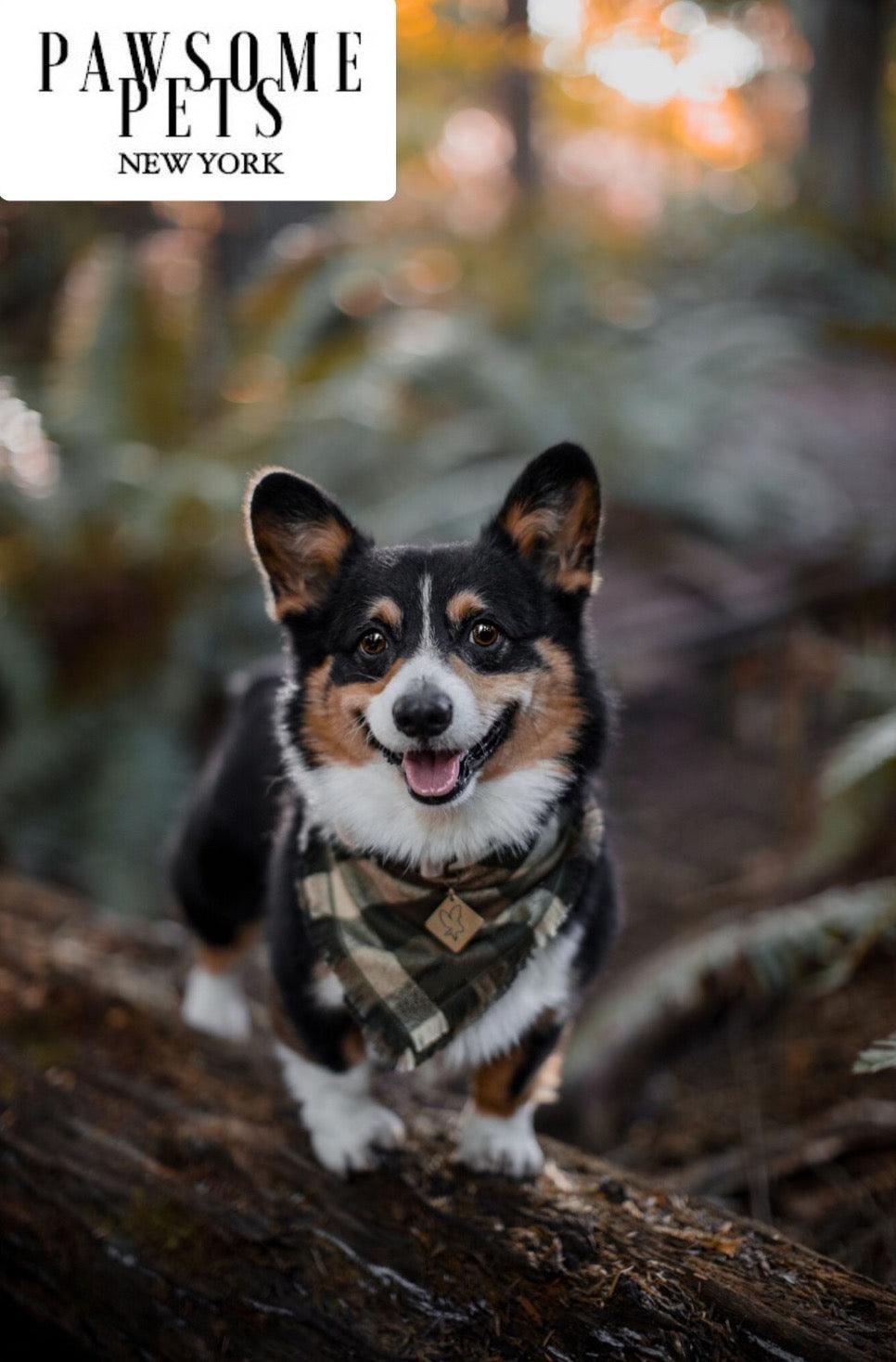 BANDANA - OLIVE GREEN-1