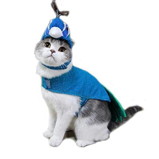 2-Piece pets Peacock Costume-1