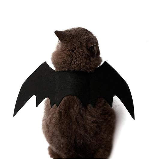 Easy Batwings Cat Halloween Costume-1