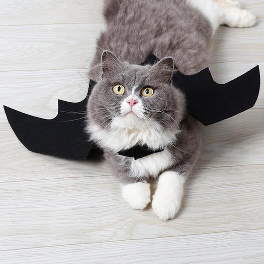 Easy Batwings Cat Halloween Costume-0