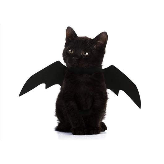 Easy Batwings Cat Halloween Costume-2