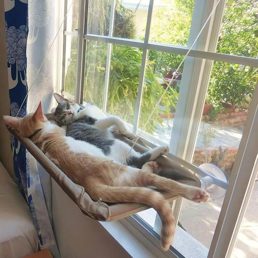 Cat Window Seat Hammock-0