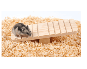 Pet Playtime Wooden Seesaw: A Fun And Durable Toy For Small Animals-4