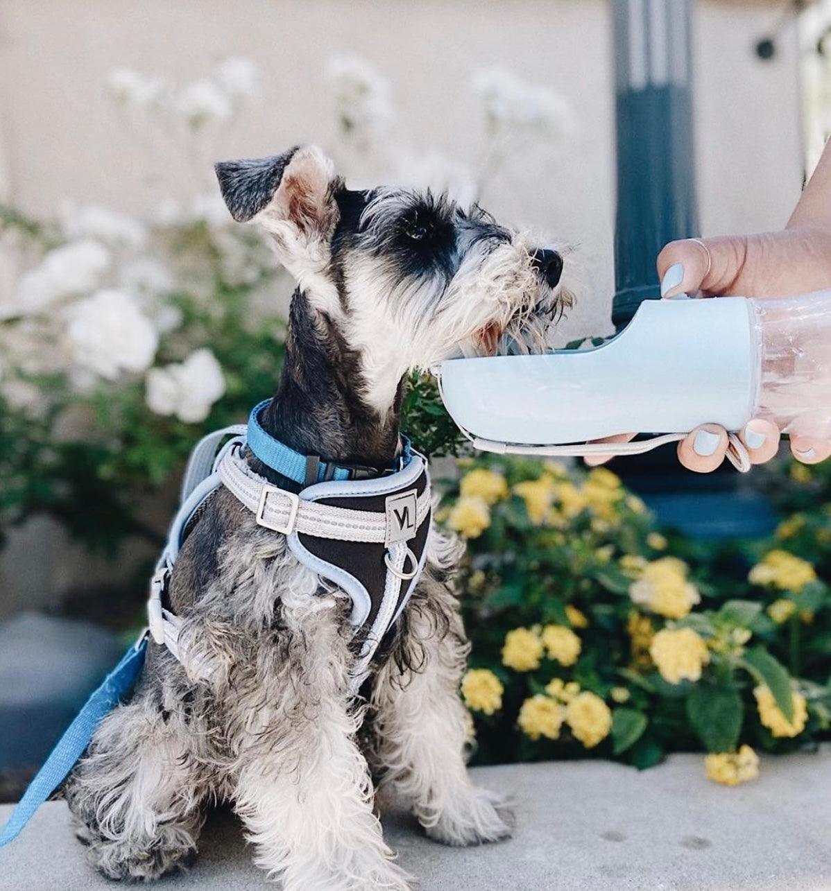 2 IN 1 PORTABLE PET FEEDER - BLUE-1