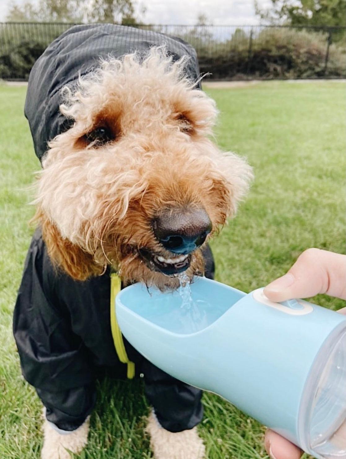 2 IN 1 PORTABLE PET FEEDER - BLUE-3