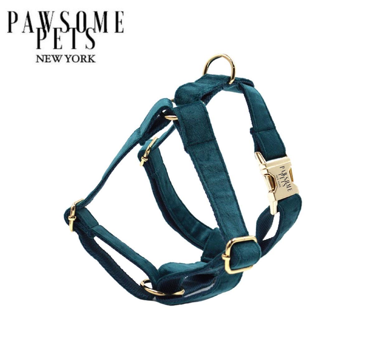 STEP IN HARNESS - EMERALD-0