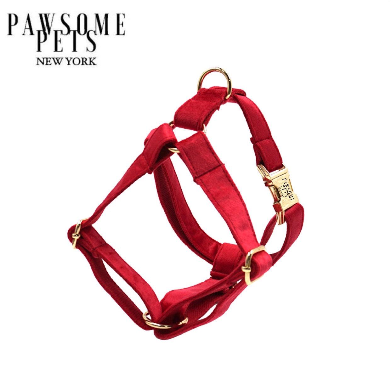 STEP IN HARNESS - RED-0