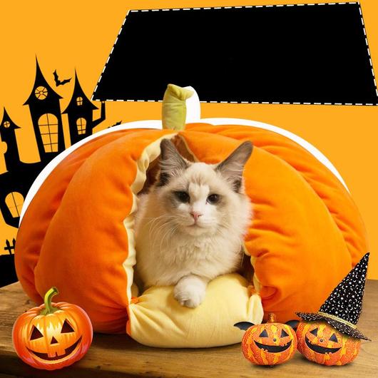 [SALE] Extra Plush Cat Pumpkin Bed-2