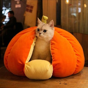 [SALE] Extra Plush Cat Pumpkin Bed-3