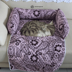 Furniture Saver Comfy Cat Bed-0