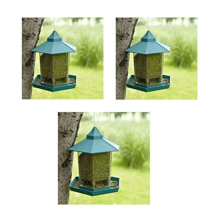 Weatherproof Avian Feeder Box-9