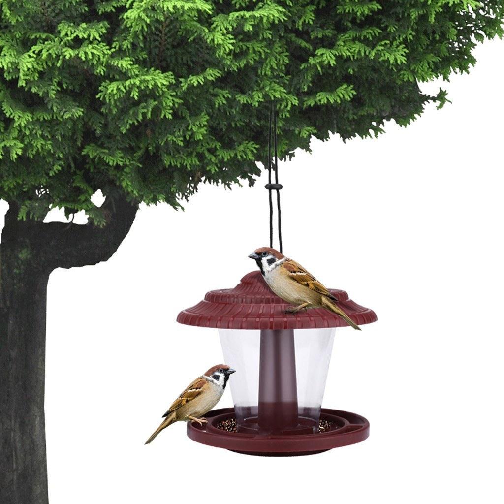 Clearview Bird Buffet-2