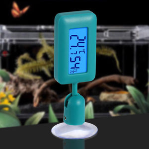 Glow-In-The-Dark Reptile Thermometer With Large Suction Cup-0