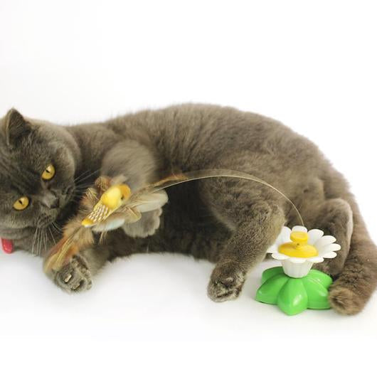 Interactive Bird Toy For Cats-1