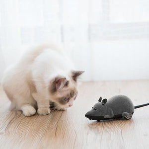 Remote Control Mouse Cat Toy-2