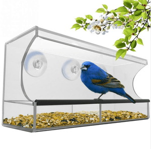 Crystal Clear Acrylic Pet Feeder-0