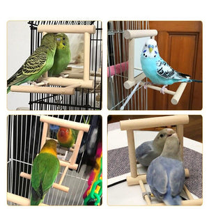 Curious Avian Reflection Stand-2