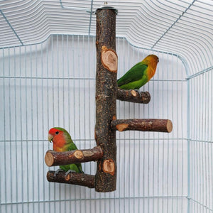 Simple And Stylish Apple Wood Parrot Bird Stand-6