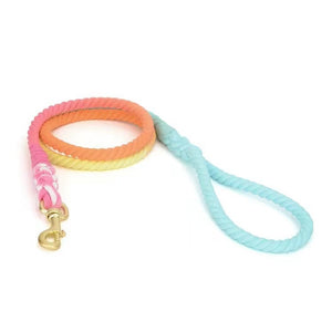 Dog Rope Leash - Rainbow Vibes-0