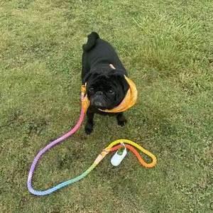 Dog Rope Leash - Rainbow Vibes-2