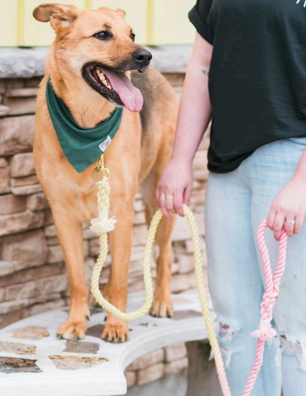 Dog Rope Leash - Denim Dark Blue-4