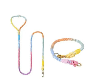 Dog Rope Leash and Collar Set - Macaron-0