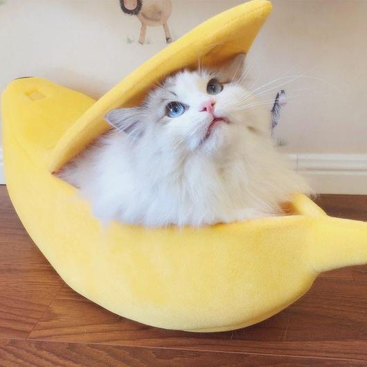 Cute Cat Banana Bed-0