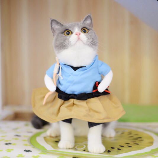 Cute Pet costumes-2