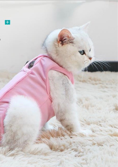 After spay surgery clothes for pet-0