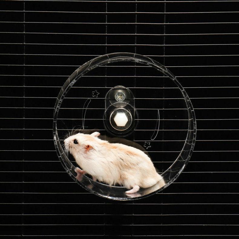 Transparent Acrylic Pet Exercise Wheel - The Ultimate Hamster Fitness Experience-1