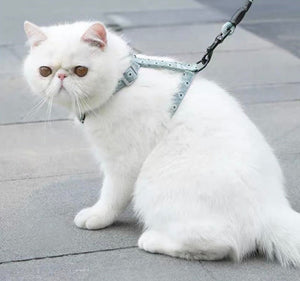 Japanese cat harness-0