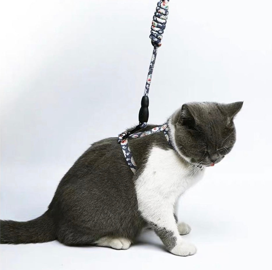 Japanese cat harness-2