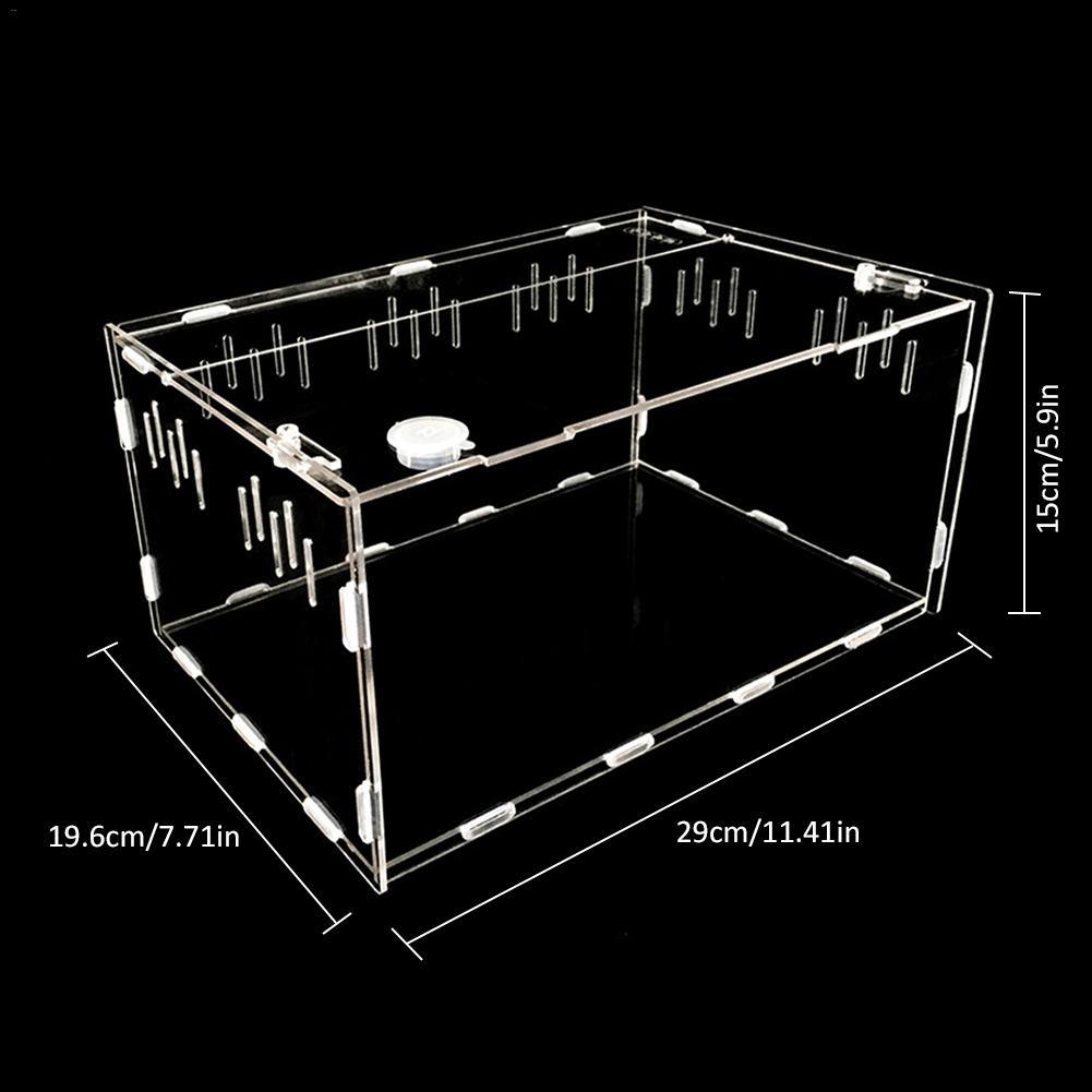 Reptile Haven: Crystal Clear Breeding Box For Your Beloved Pets-2