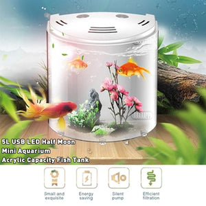 Eco-Aquaview: The Ultimate Ecological Acrylic Fish Tank-4