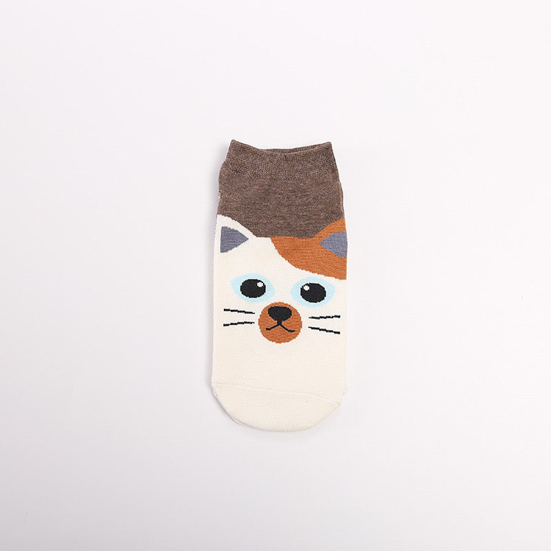 Pawsome Socks #2-4