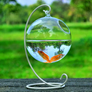 Mini Glass Ball Fish Tank With Hanging Bracket-0