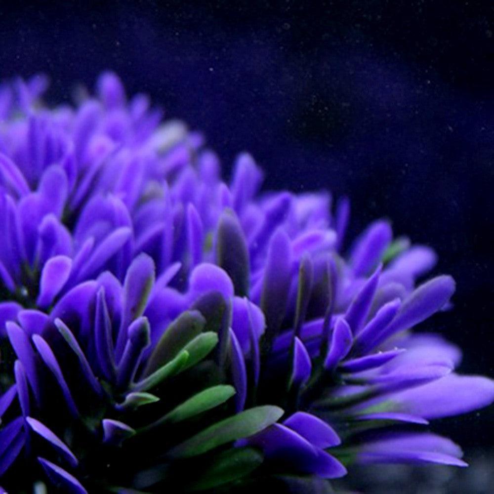 Vibrant Purple Round Grass Aquarium Decor-2