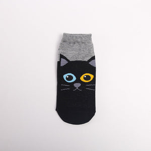 Pawsome Socks #2-2