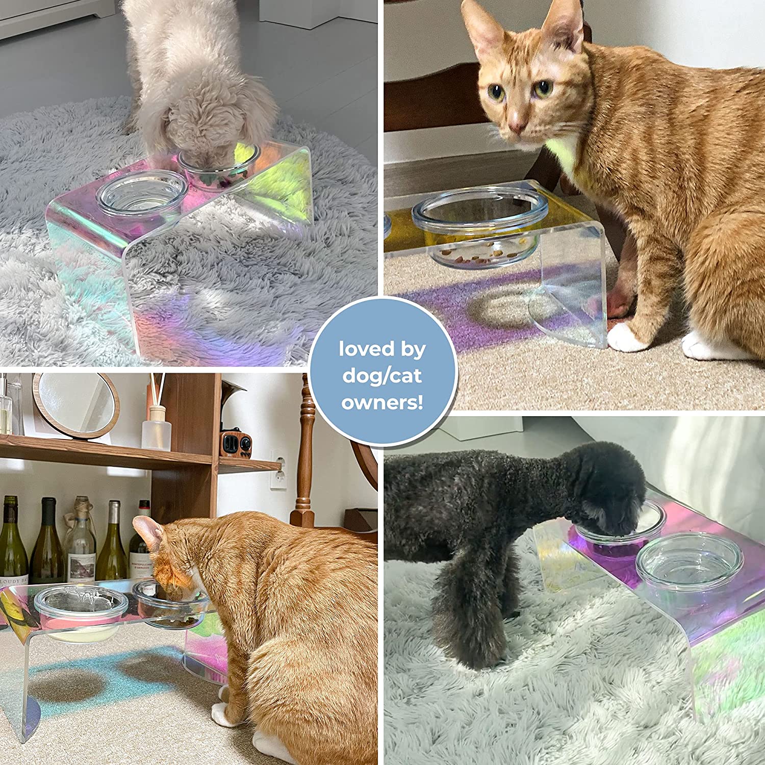 The Holographic Aurora Elevated Pet Feeding Table (PREORDER)-9