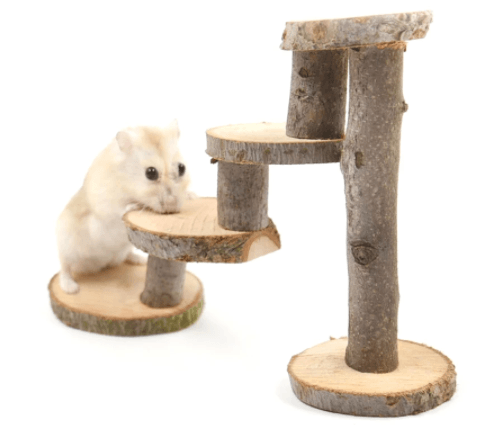 Wooden Apple Wood Hamster Climbing Ladder Toy-3