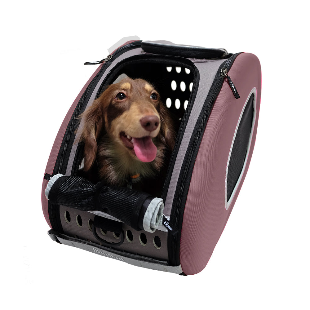 Eva Pet Wheeled Multifunctional Carrier - Chocolate-3