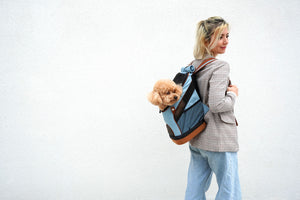 Denim Fun Lightweight Pet Backpack-2