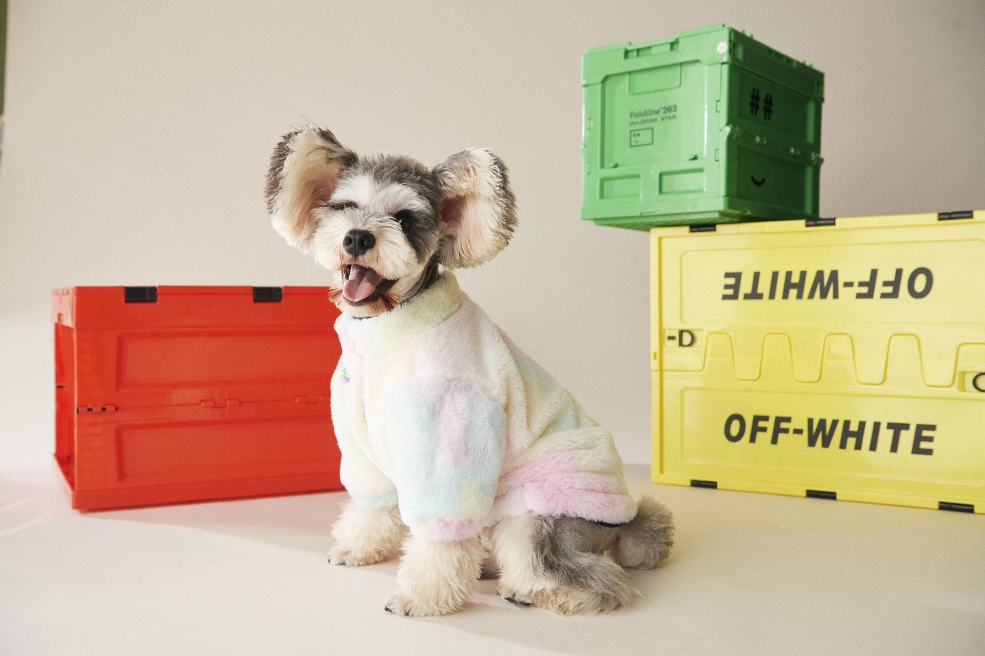 Rainbow Dog Fur Coat-2