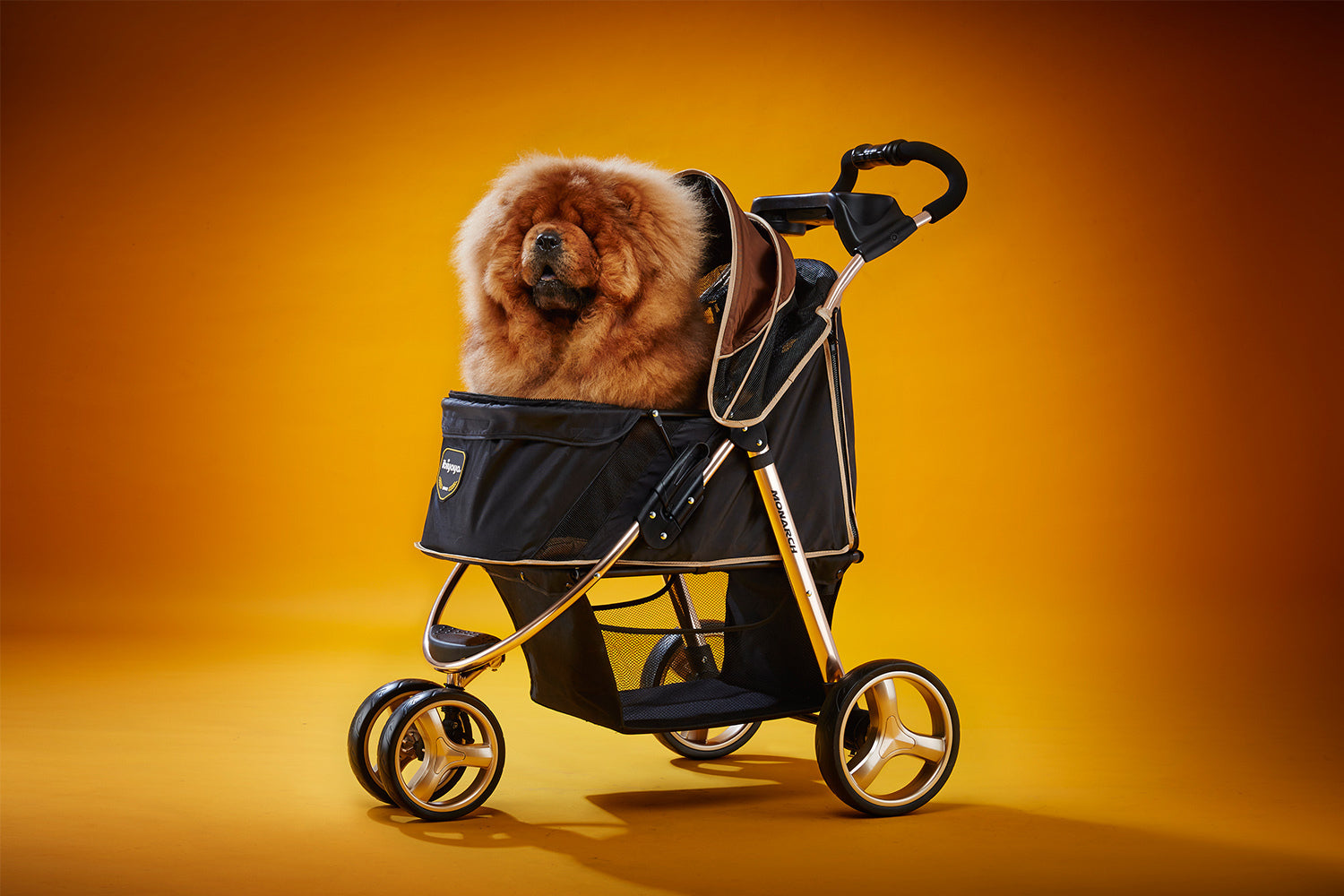 Monarch Premium Pet Jogger – Luxury Gold-5